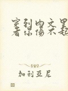 穿到肉文里的作者你伤不起