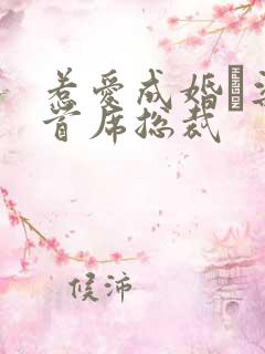 惹爱成婚·染指首席总裁