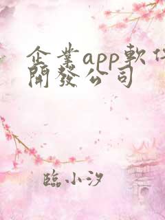 企业app软件开发公司