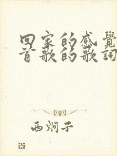 回家的感觉是哪首歌的歌词