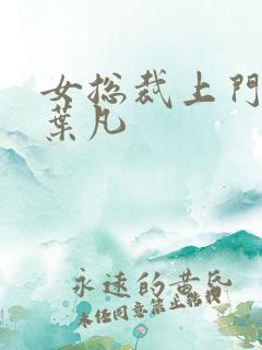 女总裁上门女婿叶凡