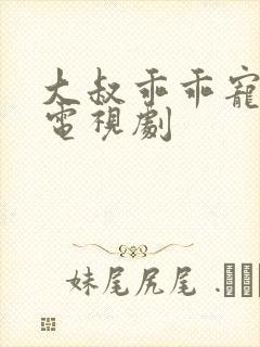 大叔乖乖宠我 电视剧