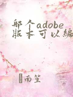 哪个adobe版本可以编辑pdf