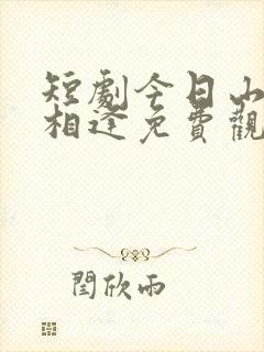 短剧今日山水不相逢免费观看