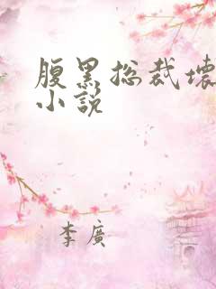 腹黑总裁坏坏爱小说