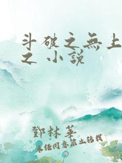 斗破之无上之境之 小说
