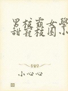 男校霸女学霸的甜宠校园小说