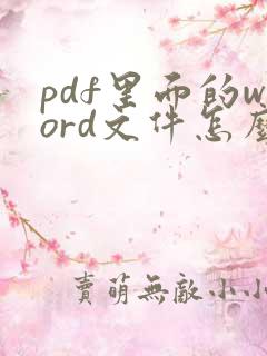 pdf里面的word文件怎么打开