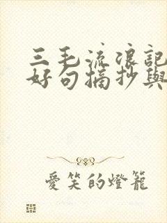 三毛流浪记好词好句摘抄与读后感