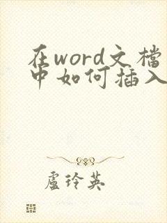 在word文档中如何插入pdf
