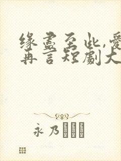 缘尽至此,爱不再言短剧大结局