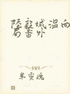陆毅城温向晚结局番外