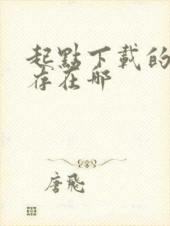 起点下载的小说存在哪