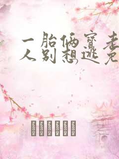 一胎俩宝老婆大人别想逃免费阅读