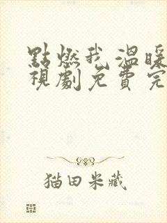 点燃我温暖你电视剧免费完整版16集