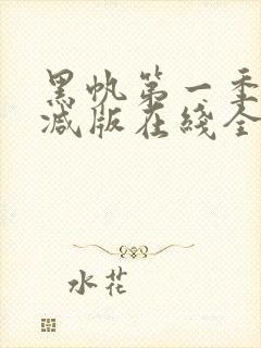 黑帆第一季无删减版在线全集免费观看完整