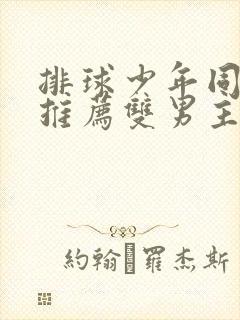 排球少年同人文推荐双男主