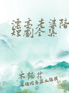 漂亮老婆陪过年短剧全集