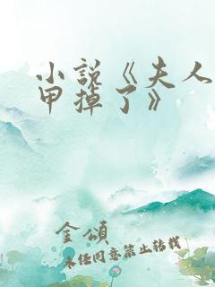 小说《夫人你马甲掉了》