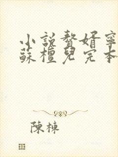 小说赘婿宁毅/苏檀儿完本
