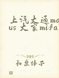 上汽大通maxus 大家mifa7报价自动挡