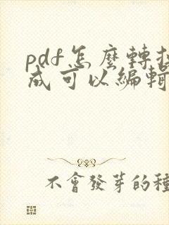 pdf怎么转换成可以编辑的文字