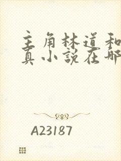 主角林道和苏沛真小说在哪看