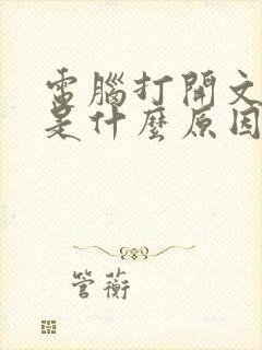 电脑打开文件卡是什么原因