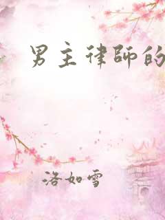 男主律师的小说