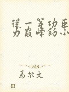 从一等功臣到权力巅峰的小说