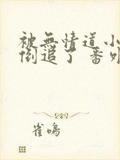 被无情道小师弟倒追了 番外