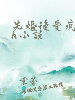 先婚后爱疯批高h小说