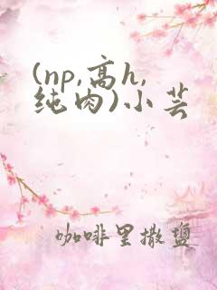 (np,高h,纯肉)小芸