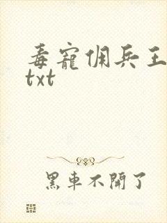 毒宠佣兵王妃 txt