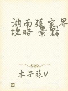 湖南张家界旅游攻略 景点