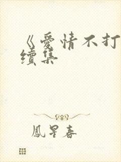 《爱情不打烊》续集