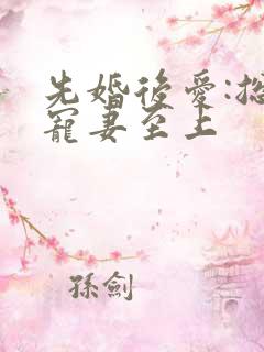 先婚后爱:总裁宠妻至上