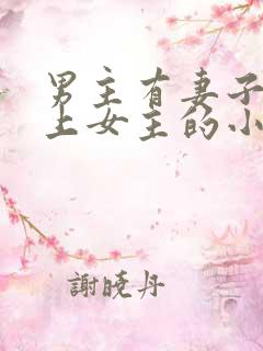 男主有妻子却爱上女主的小说