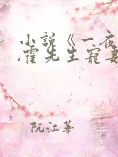 小说《一夜情深,霍先生宠妻无度》