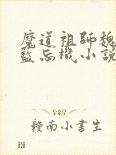 魔道祖师魏无羡蓝忘机小说免费阅读原文