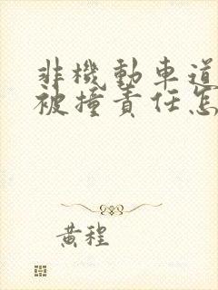 非机动车道逆行被撞责任怎么划分