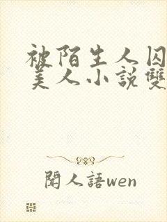 被陌生人囚禁的美人小说双男主