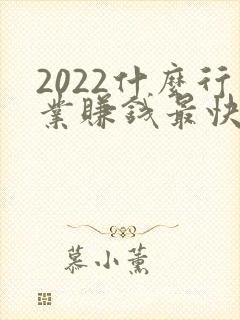 2022什么行业赚钱最快最多