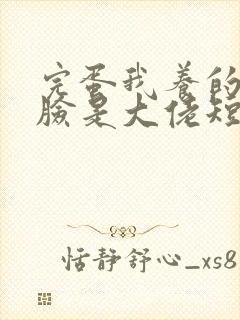 完蛋我养的小白脸是大佬短剧全集