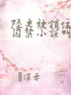 陆光被锁住四肢囚禁小说叫什么