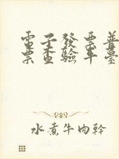 电子发票普通发票查验平台