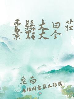 费县大田庄旅游景点大全