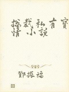 总裁私有宝贝宛情 小说