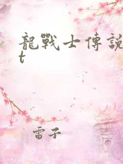 龙战士传说txt