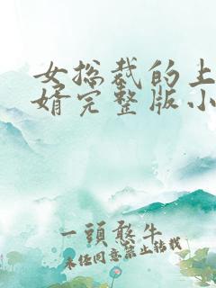 女总裁的上门女婿完整版小说